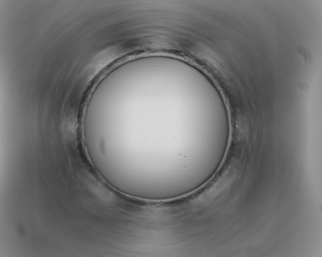 X0000113911065200910151413