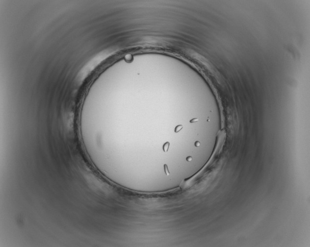 X0000113911066200910151413