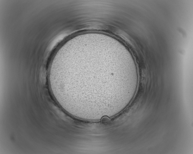 X0000113911067200910151413