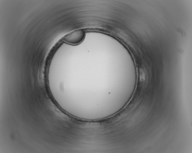 X0000113911068200910151413