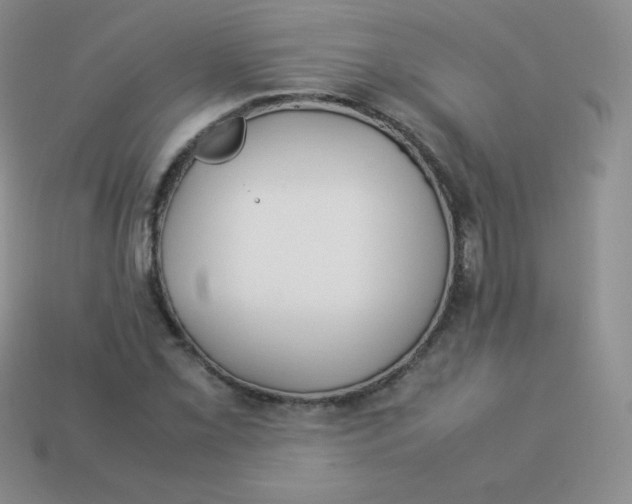 X0000113911069200910151413