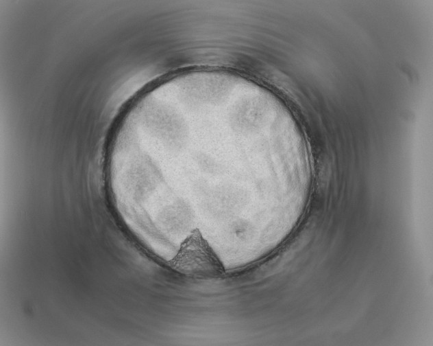 X0000113911071200910151413