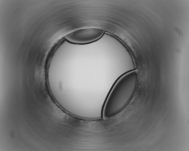 X0000113911072200910151413