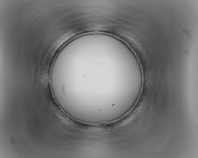 X0000113911073200910151413