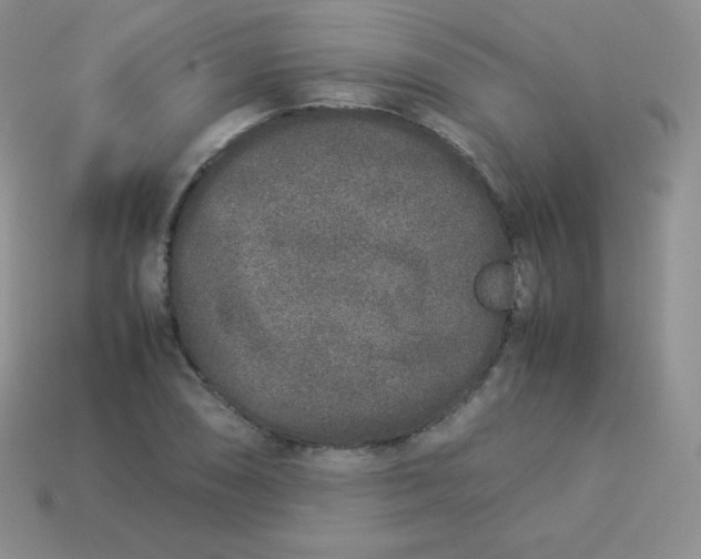 X0000113911074200910151413