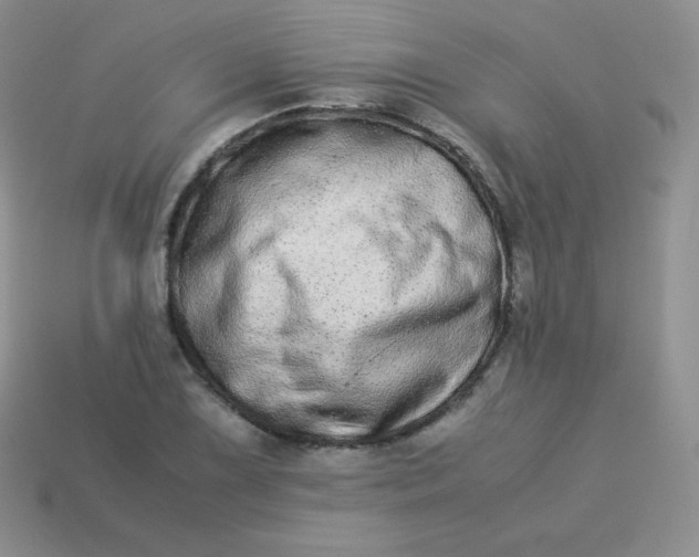 X0000113911075200910151413