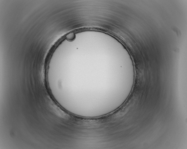 X0000113911076200910151413