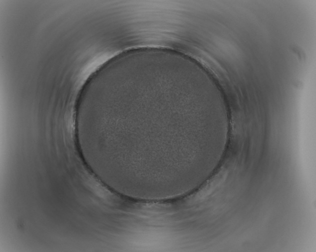 X0000113911077200910151413