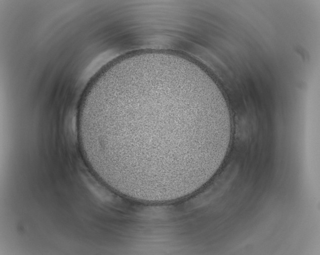 X0000113911078200910151413