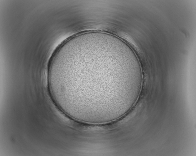 X0000113911079200910151413