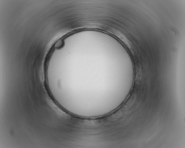 X0000113911080200910151413