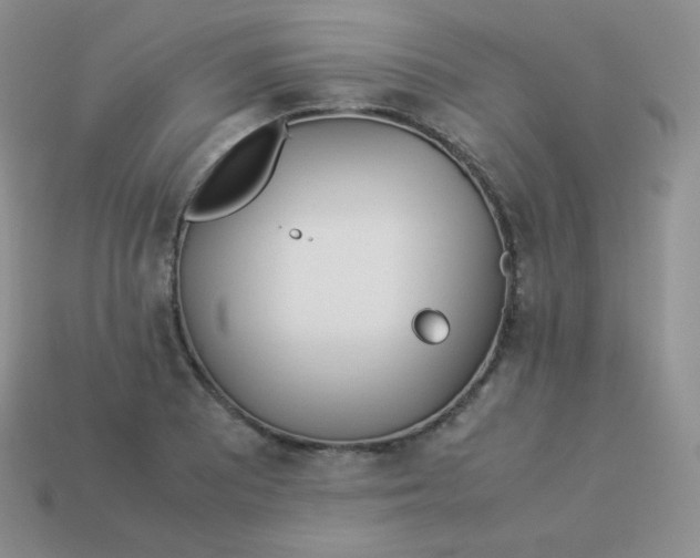 X0000113911081200910151413