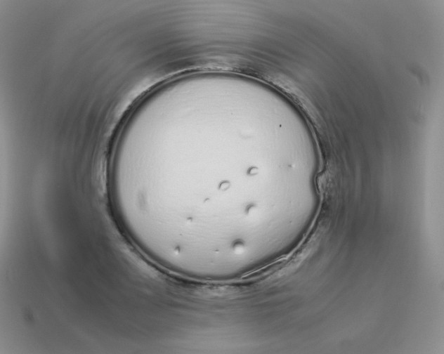 X0000113911083200910151413