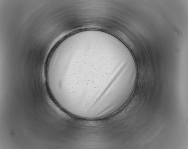 X0000113911084200910151413