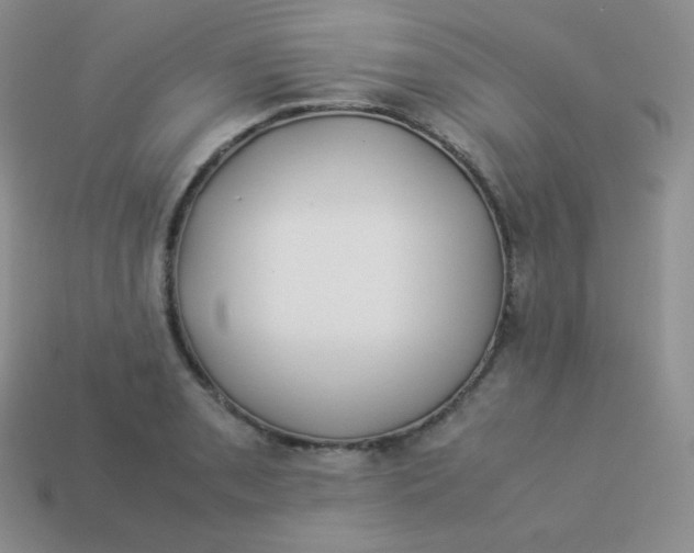 X0000113911085200910151413