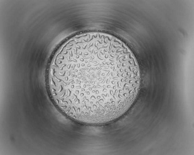 X0000113911086200910151412