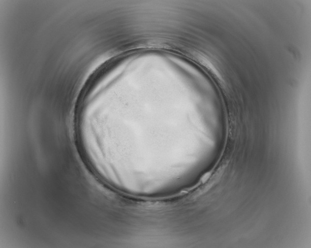 X0000113911087200910151412