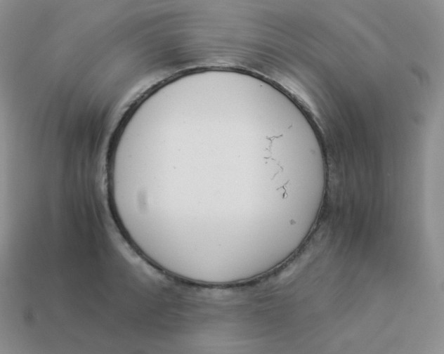 X0000113911088200910151412