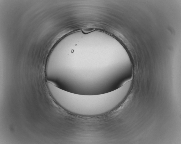 X0000113911089200910151412