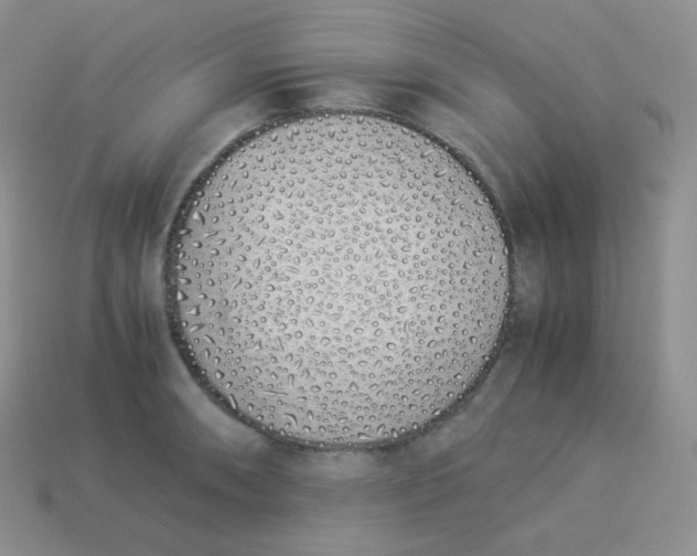 X0000113911090200910151412