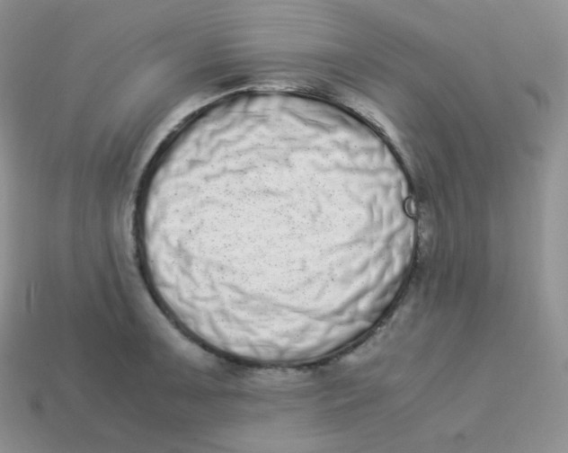 X0000113911091200910151412