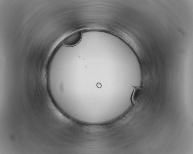 X0000113911092200910151412