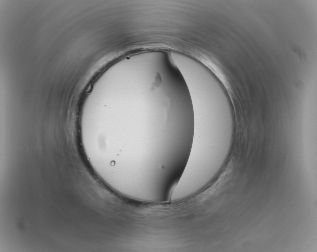 X0000113911093200910151412