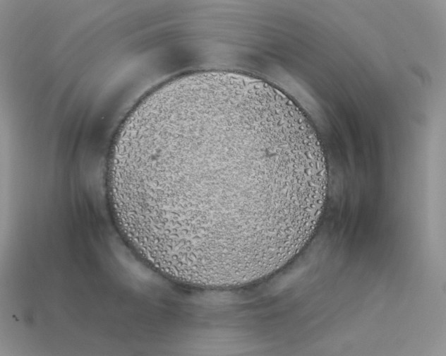 X0000113911094200910151412