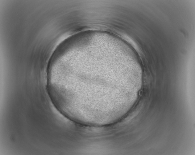 X0000113911095200910151412