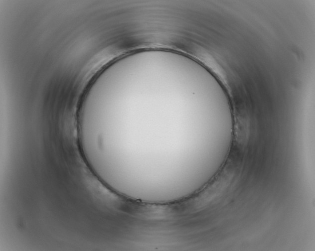 X0000113911096200910151412