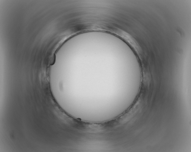 X0000113911097200910151412