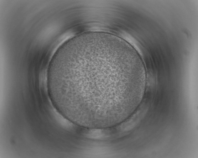 X0000113911098200910151412