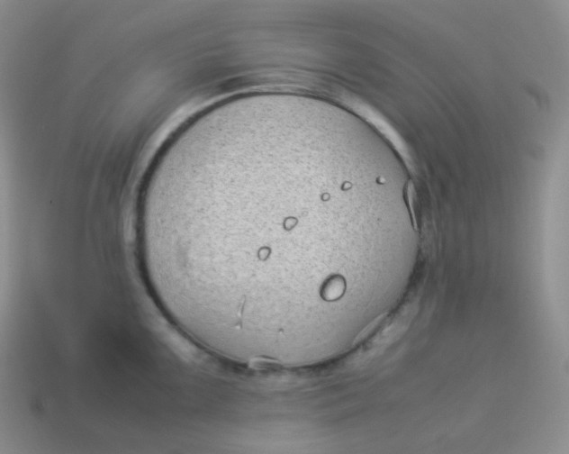 X0000113911099200910151412