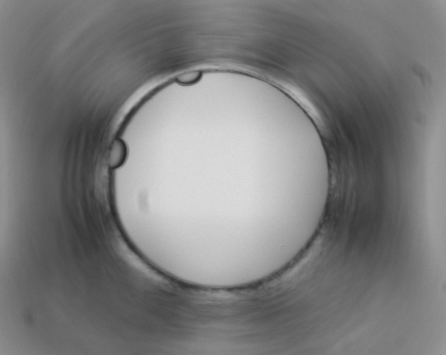 X0000113911100200910151412