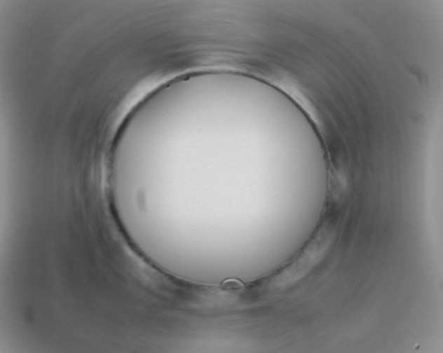 X0000113911101200910151412