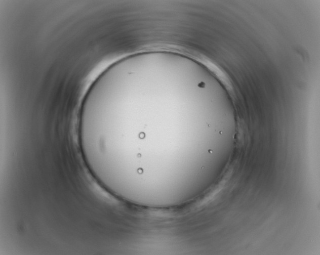 X0000113911102200910151412