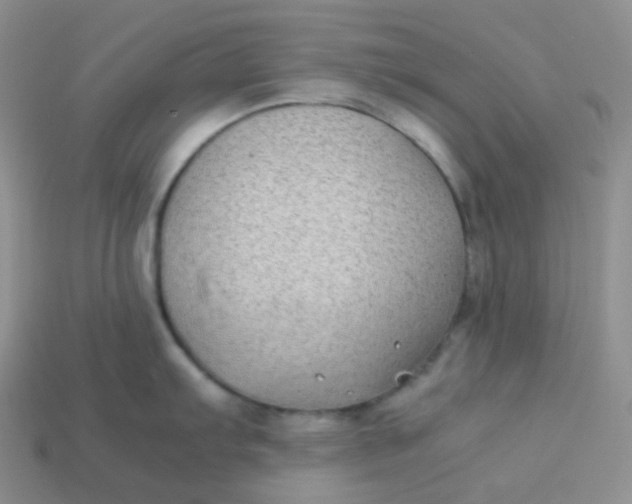 X0000113911103200910151412