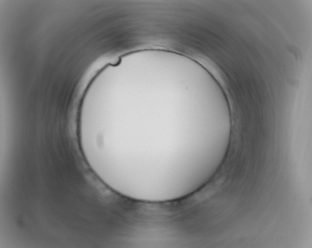 X0000113911104200910151412