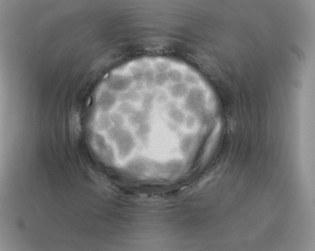 X0000113911106200910151412