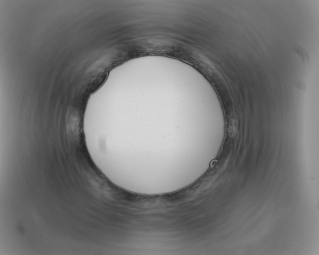 X0000113911108200910151412