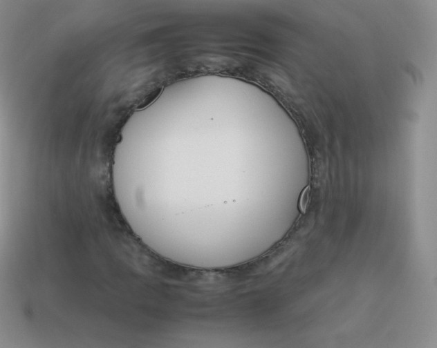 X0000113911109200910151412