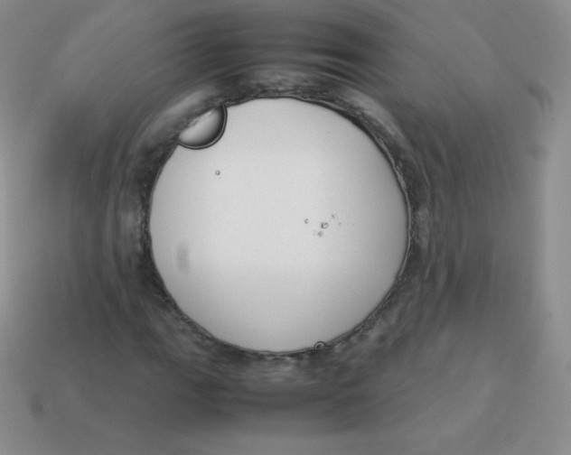 X0000113911111200910151412