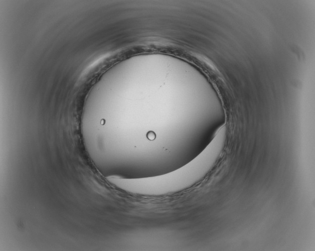 X0000113911112200910151412