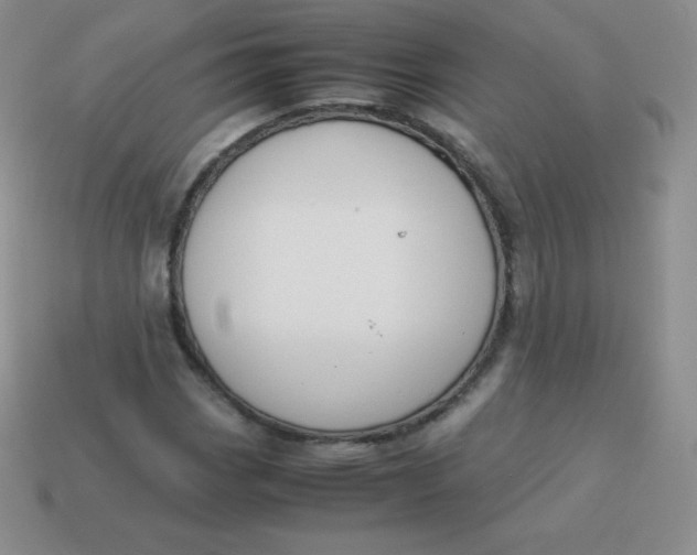 X0000113911113200910151412