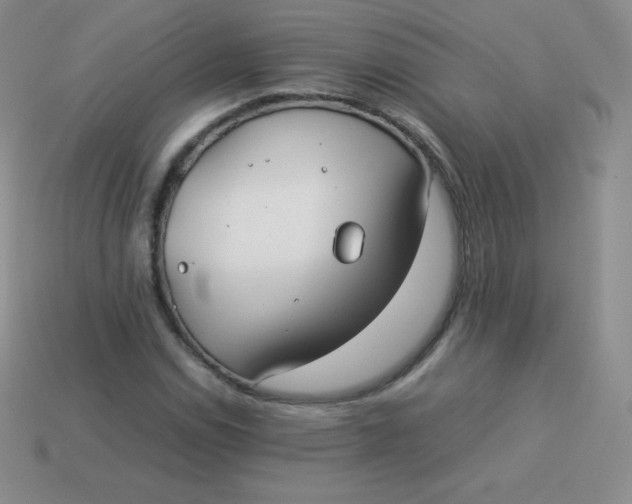 X0000113911114200910151412