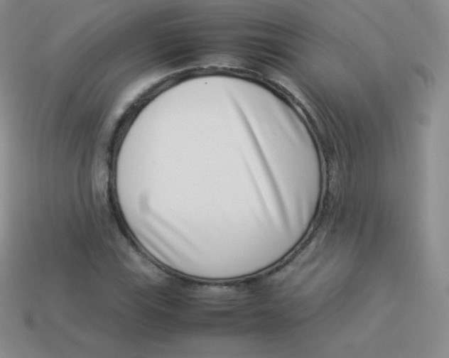 X0000113911115200910151412