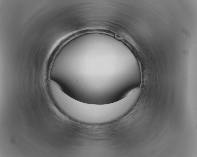 X0000113911116200910151412