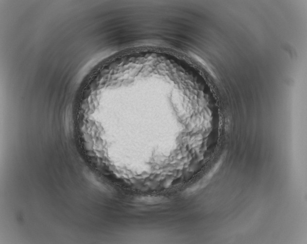 X0000113911117200910151412