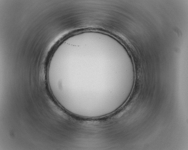 X0000113911118200910151412