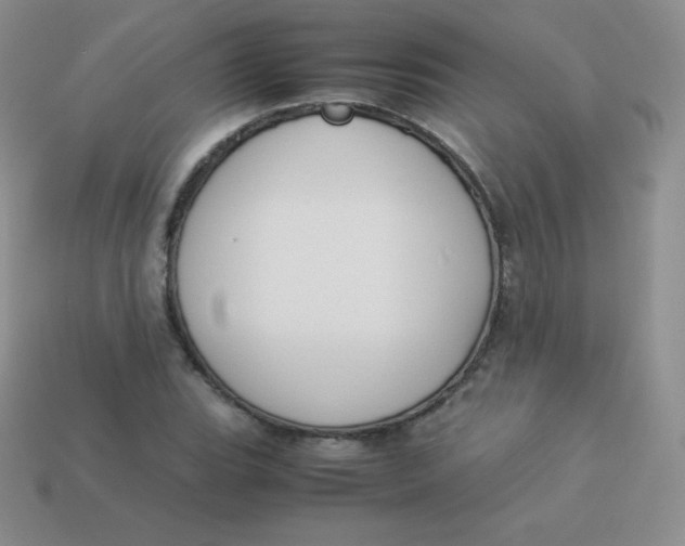 X0000113911119200910151412